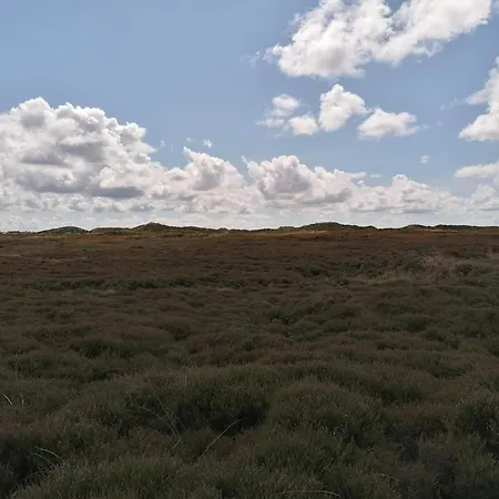 Semesterbostad 5 Person In Henne-by Traum *