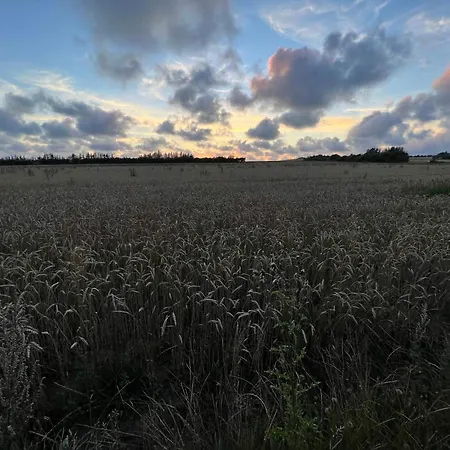 Semesterbostad 5 Person In Henne-by Traum